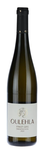 Pinot Gris 2022 ps (Rulandské šedé)